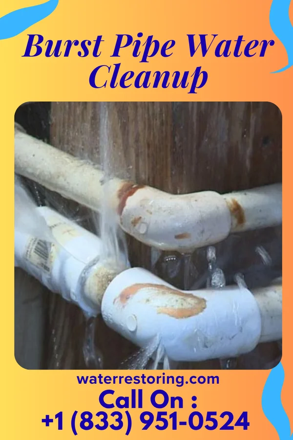 Burst Pipe Water Cleanup in Fraser, MI