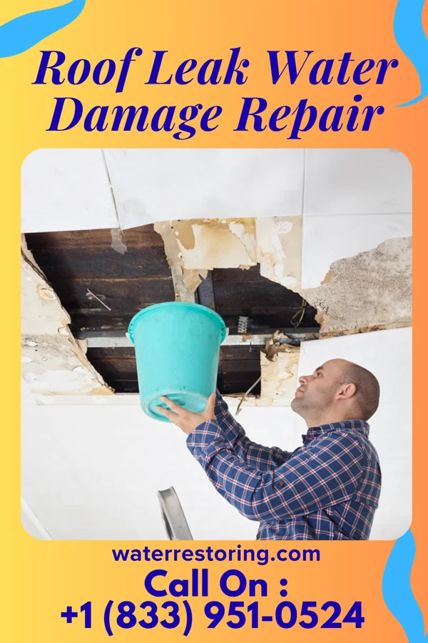 Roof Leak Water Damage Repair in Fraser, MI
