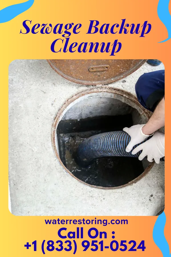 Sewage Backup Cleanup in Fraser, MI